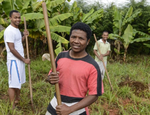 Priesteranwärter bei der Gartenarbeit im Priesterseminar der Steyler Missionare in Madagaskar