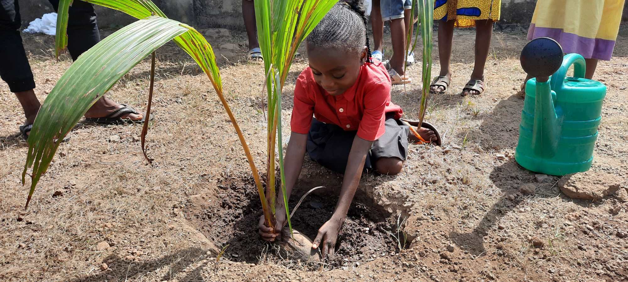 Ein Kind pflanzt einen Baum