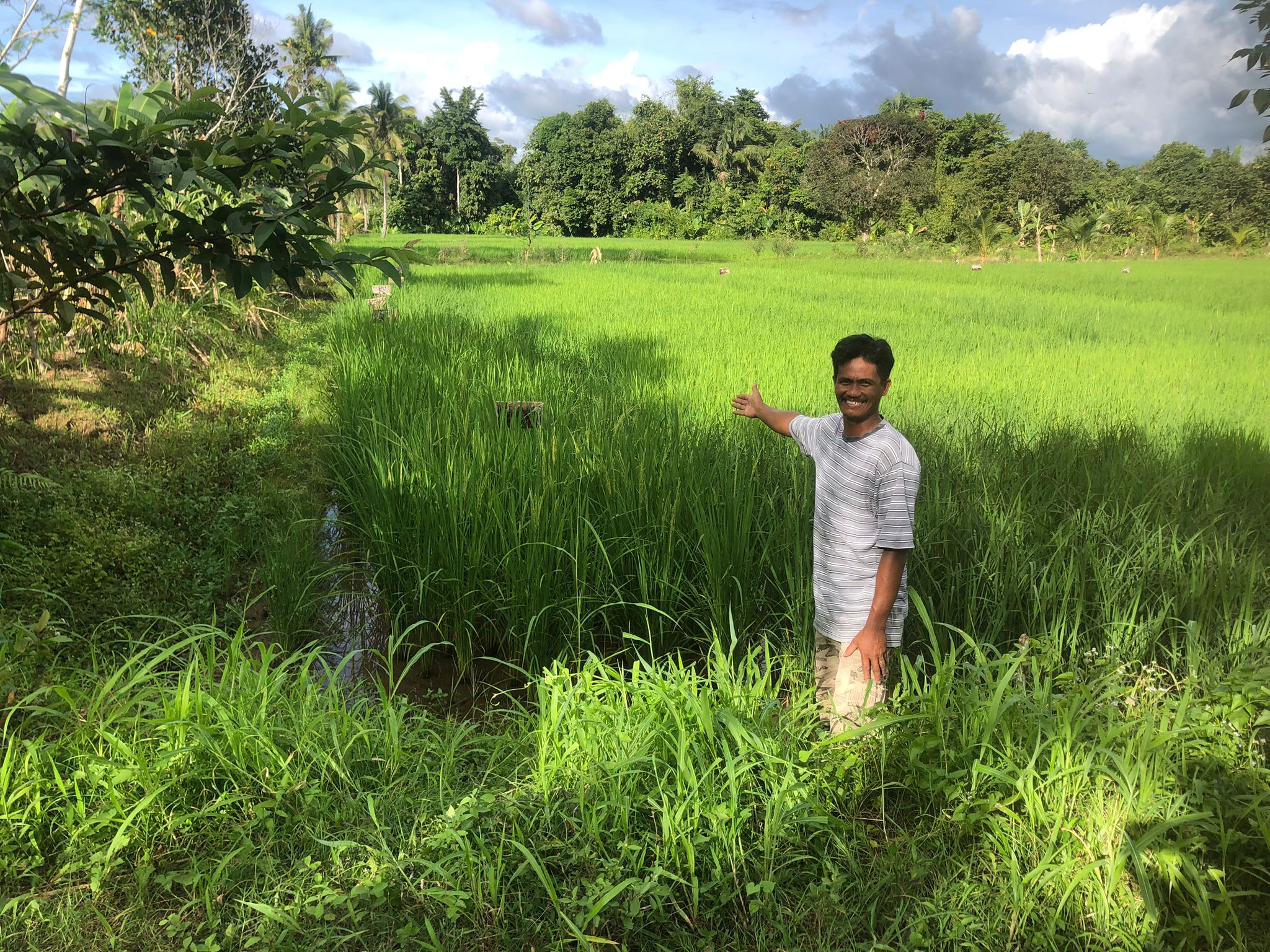 Das Foto zeigt einen Reisbauern, der lächelnd vor seinem Reisfeld steht und auf dieses zeigt.